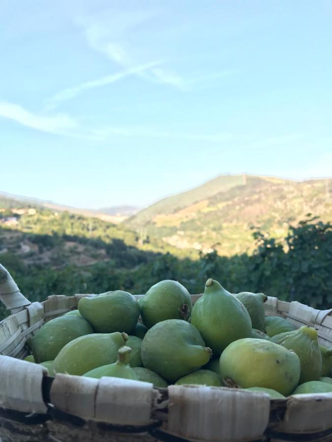 Private Douro- Quinta Das Susandas Mesao Frio Exterior photo